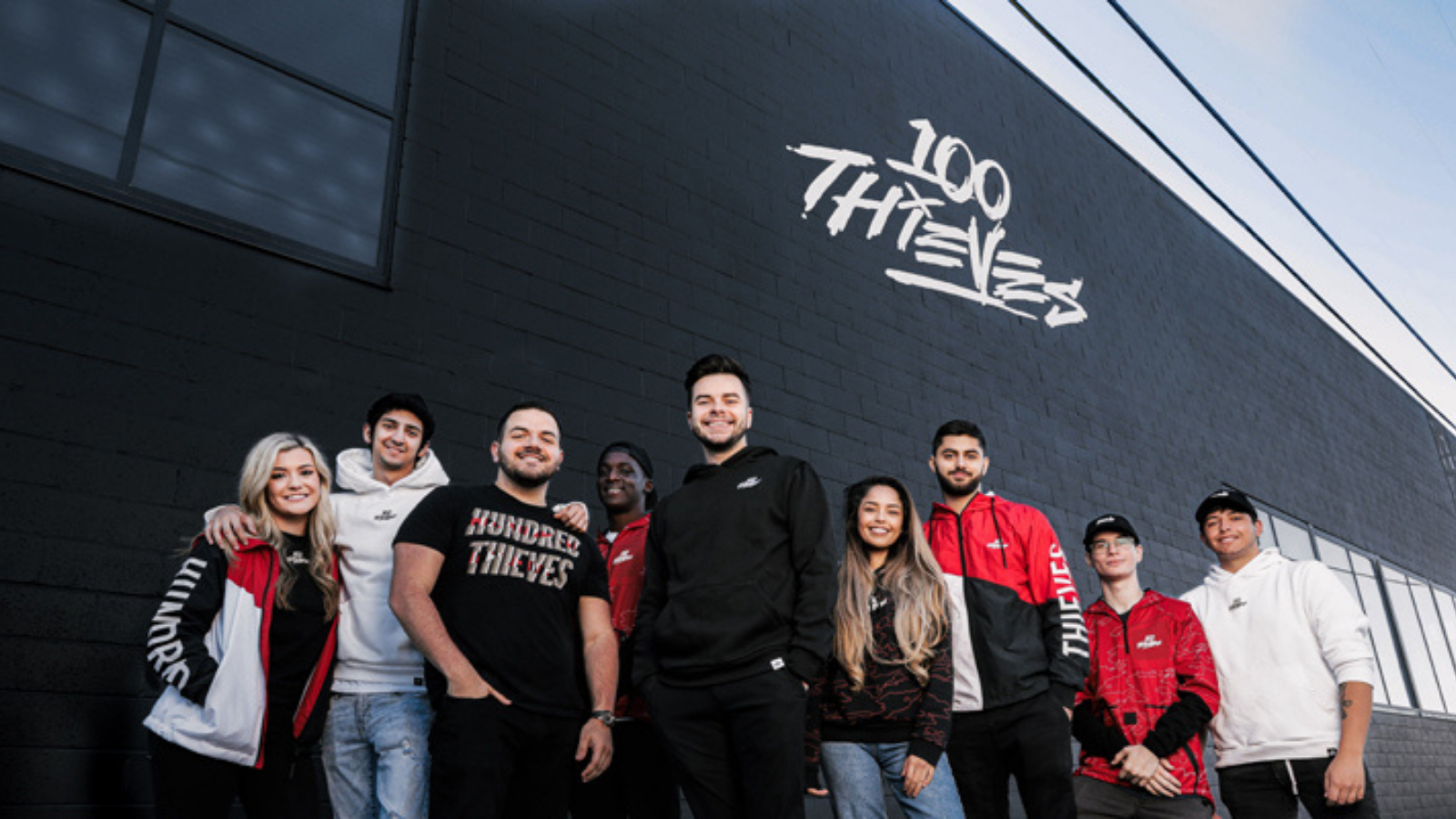 100 Thieves, Wikitubia