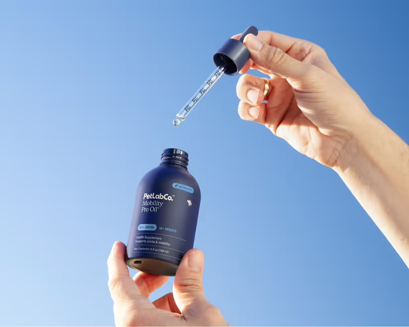 Person holding a vial of PetLab Co. Mobility Pro Oil
